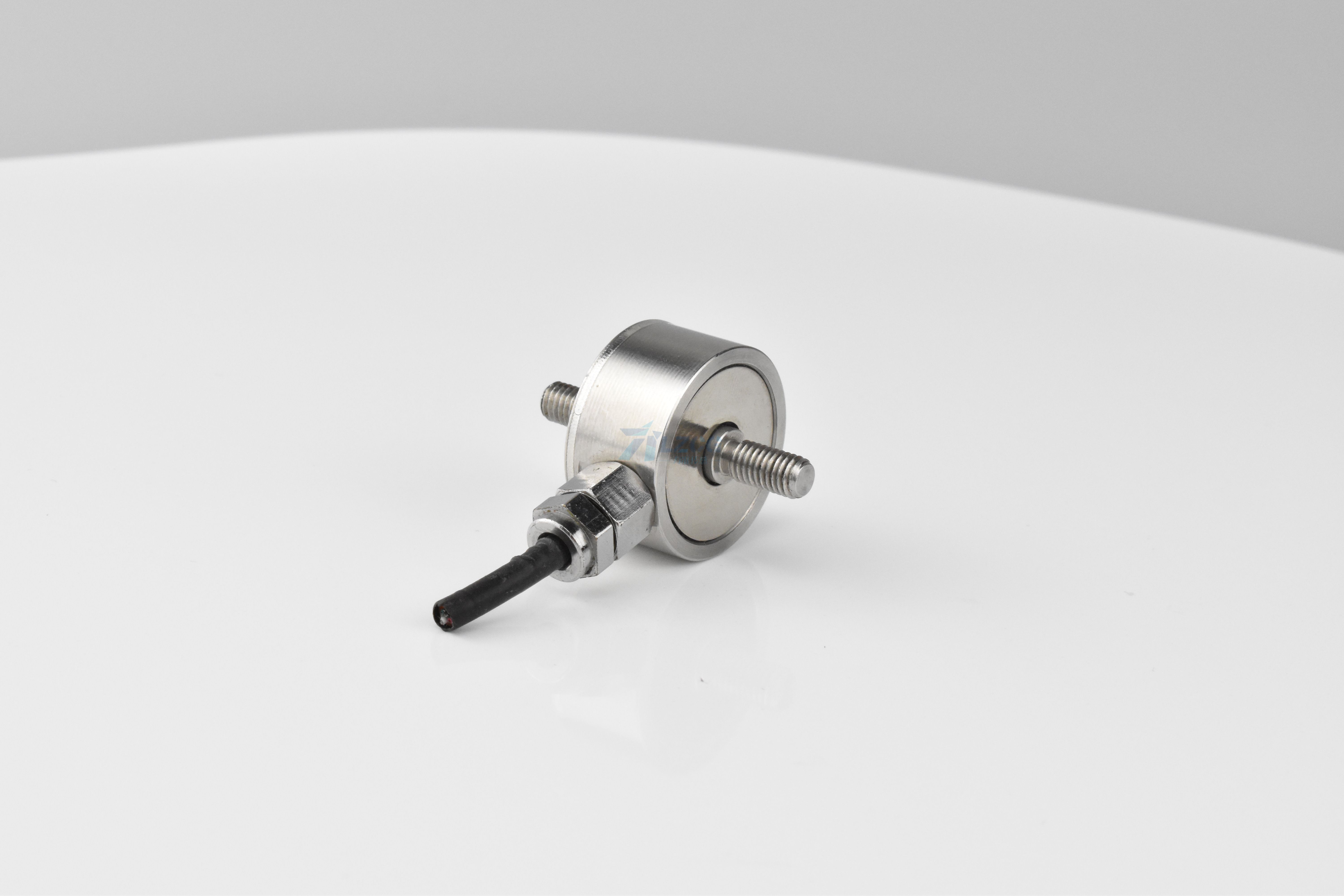 稱重傳感器由帶應(yīng)變片的彈性體組成(圖1) DSC_0021.JPG