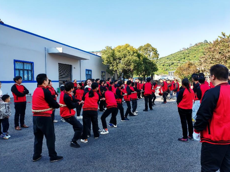 力準(zhǔn)傳感 2025 新春特輯:蛇舞祥瑞,感恩同行(圖3) image.png