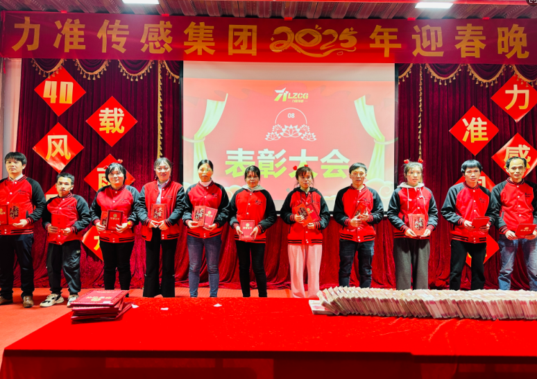 力準(zhǔn)傳感 2025 新春特輯:蛇舞祥瑞,感恩同行(圖9) image.png